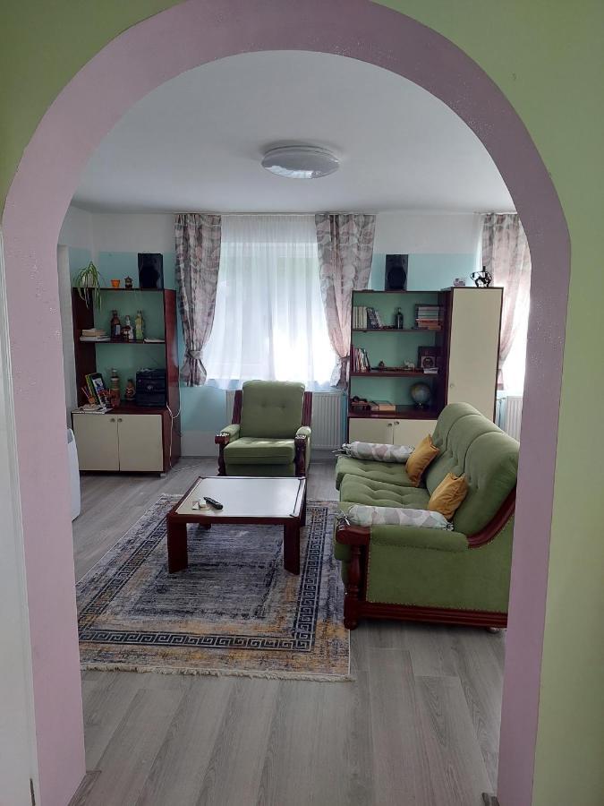 Apartman Nikola Διαμέρισμα Rakovac Εξωτερικό φωτογραφία